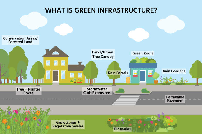 Do you have anything on your property that would be considered green infrastructure ? Select all that apply